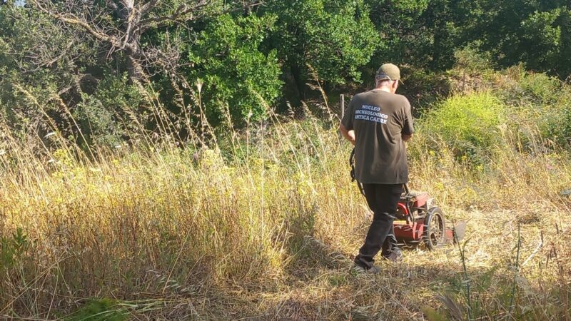 Pulizia vegetazione e manutenzione del verde
