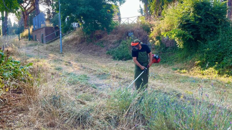 Sfalcio della vegetazione e manutenzione del verde
